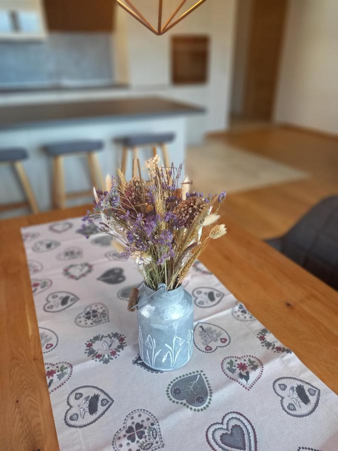 קירשברג אין טירול Panorama Appartements Filzerhof מראה חיצוני תמונה
